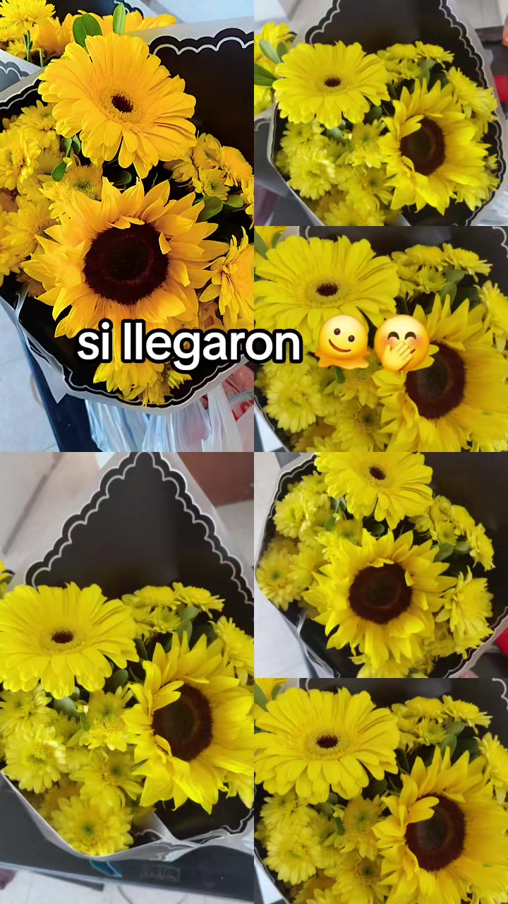 @♕♡⚘𝐕𝐚𝐧𝐞⚘♡♕🪐