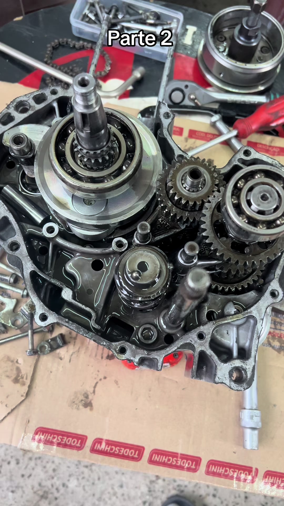 @Motor forte041