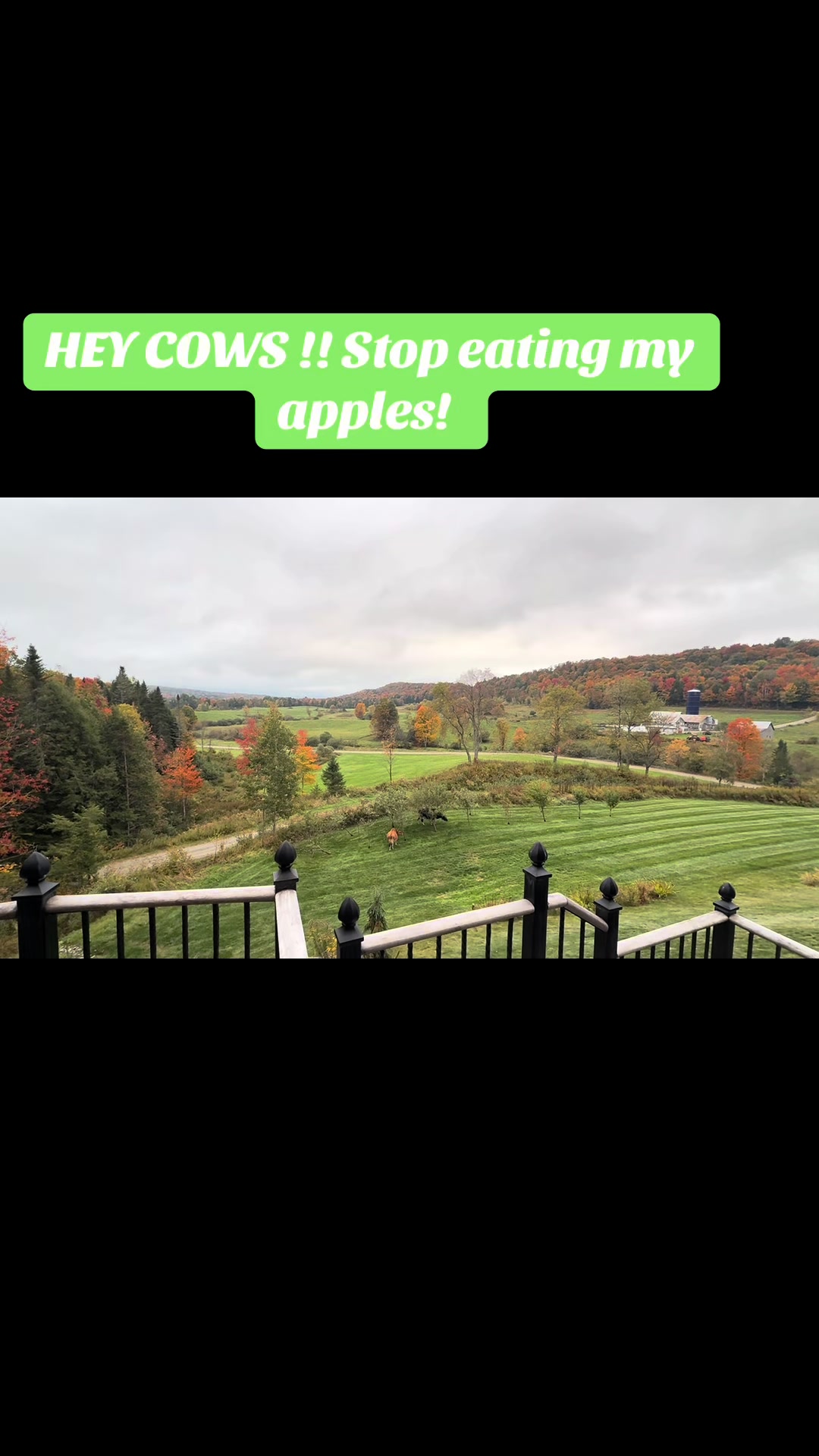 @MarcoW