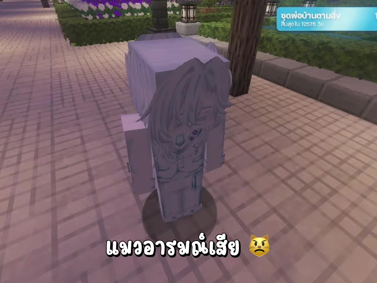 @Daybreak ★