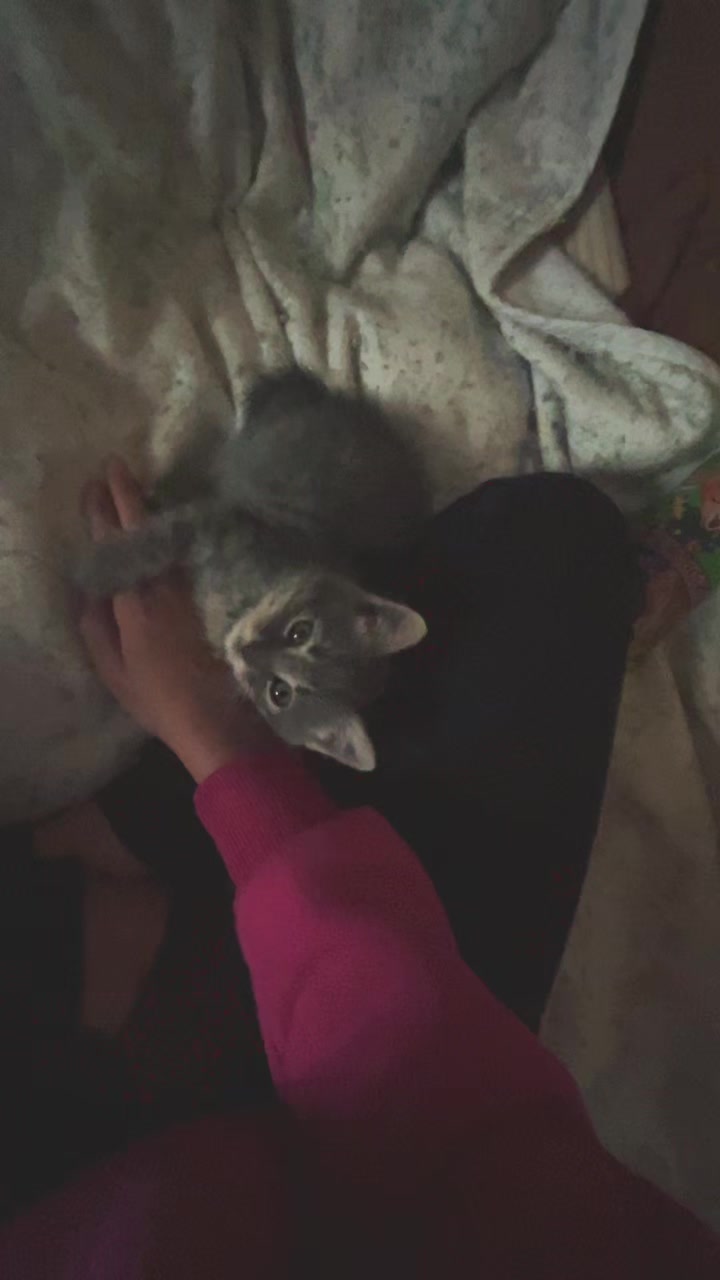 @Каріна