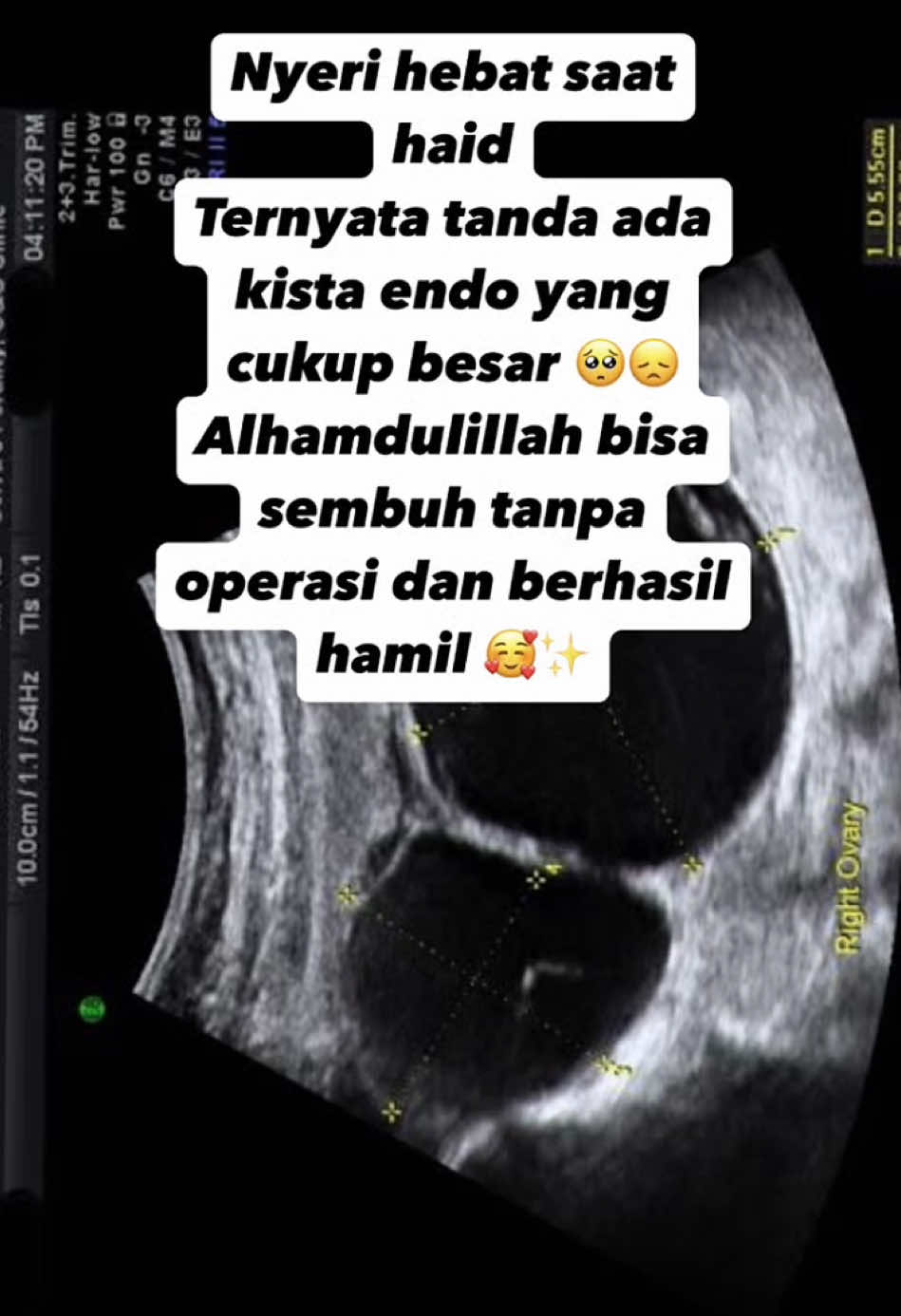 @promilholistik