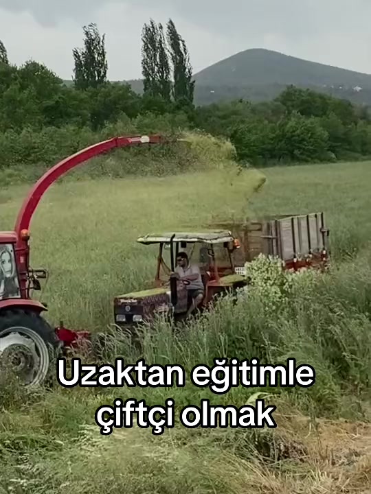 @erdemcetinkayaaa