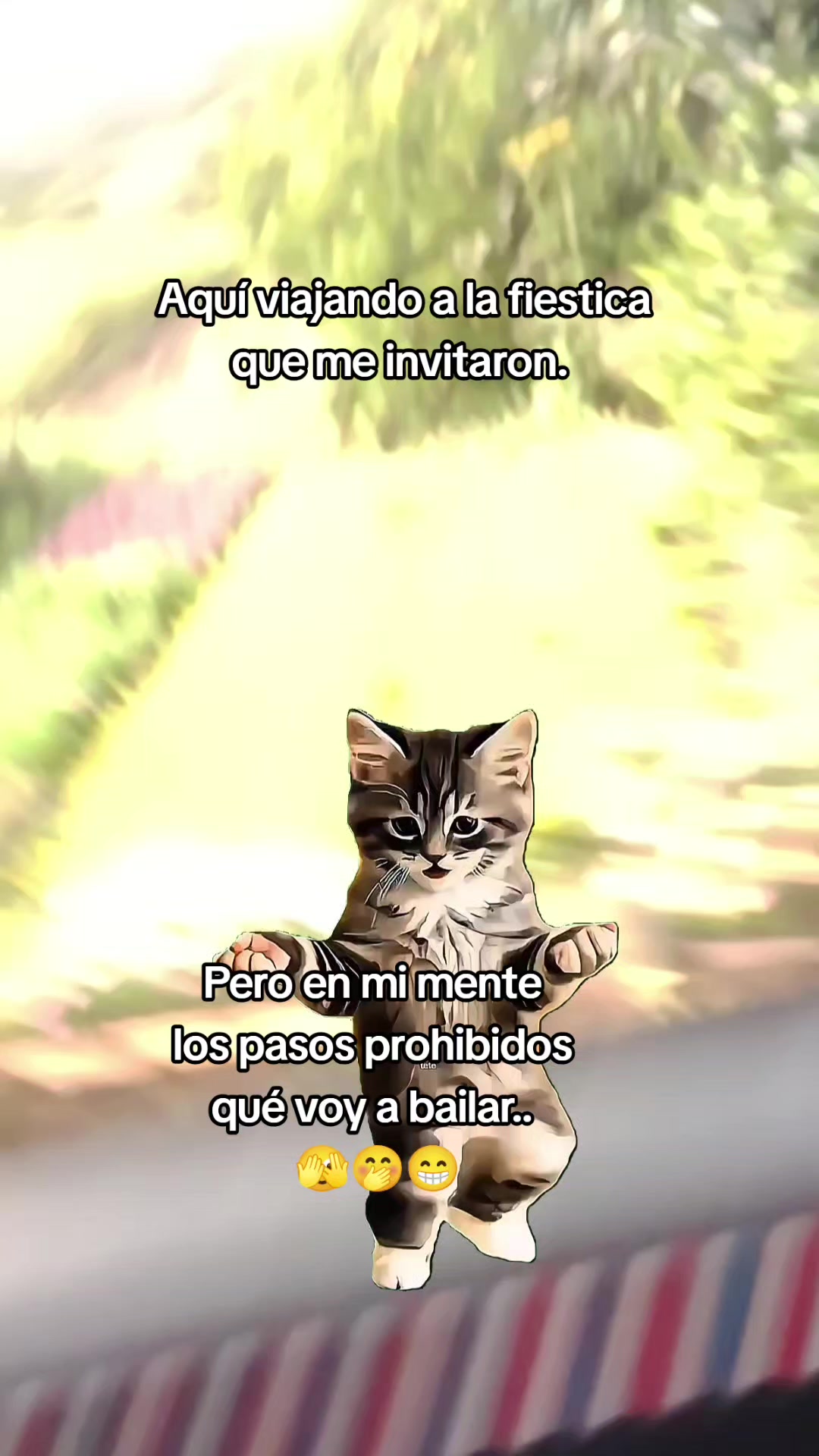 @flakitacr