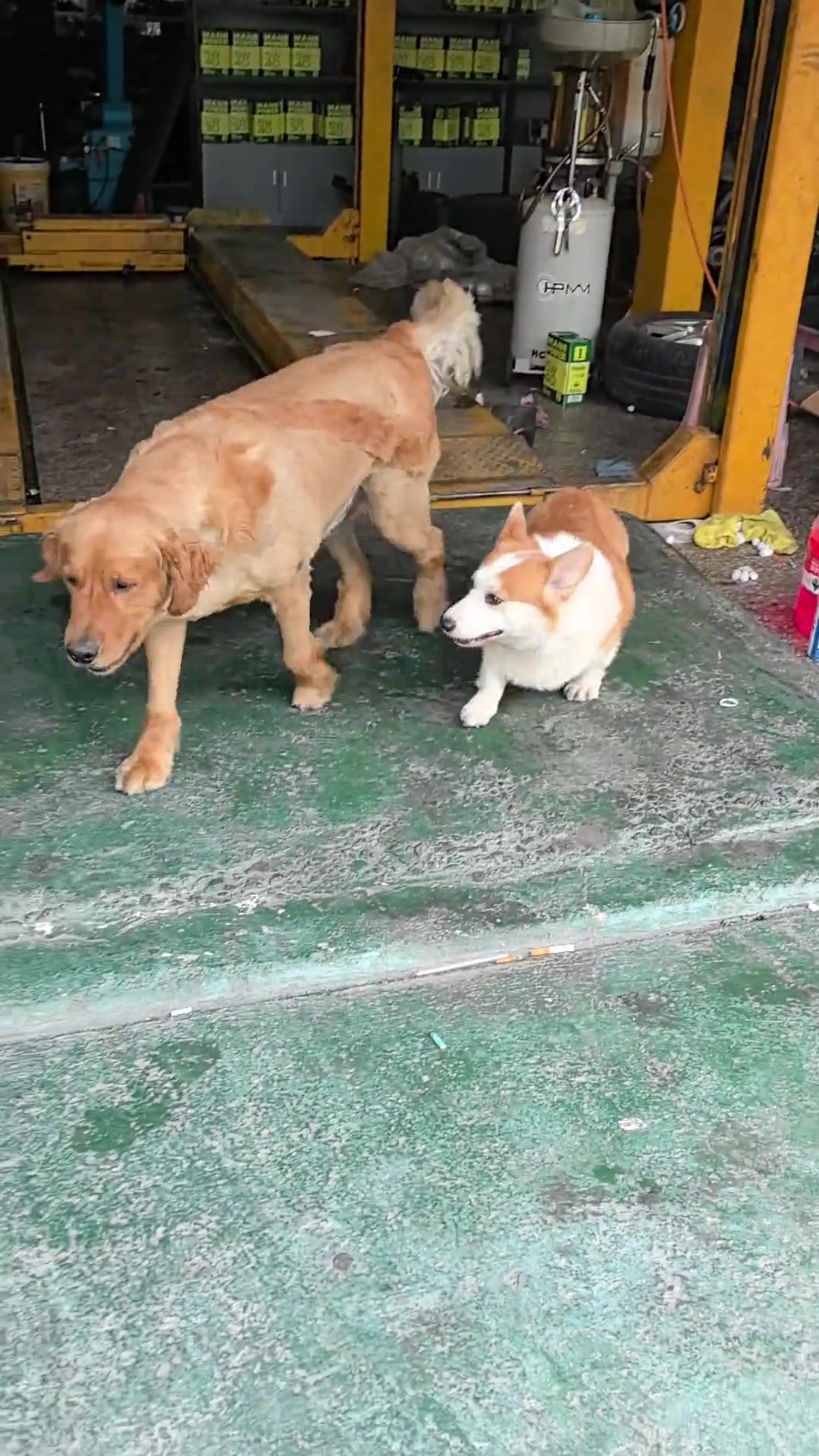 @Tiktok Sales | SG