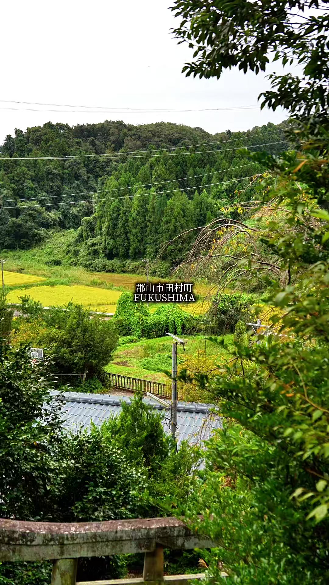 @tabi japan