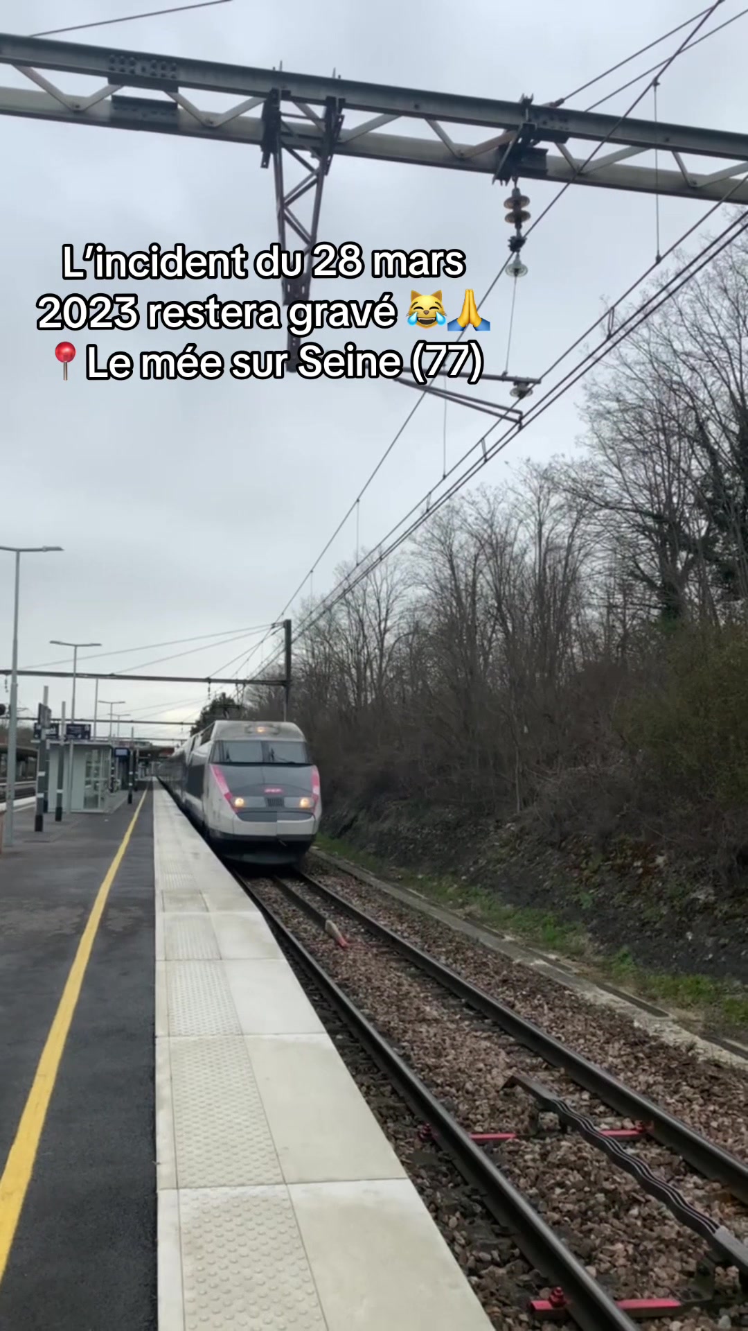 @French_rail | X҉.Ɇ.Đ̷ 👾 ‼️