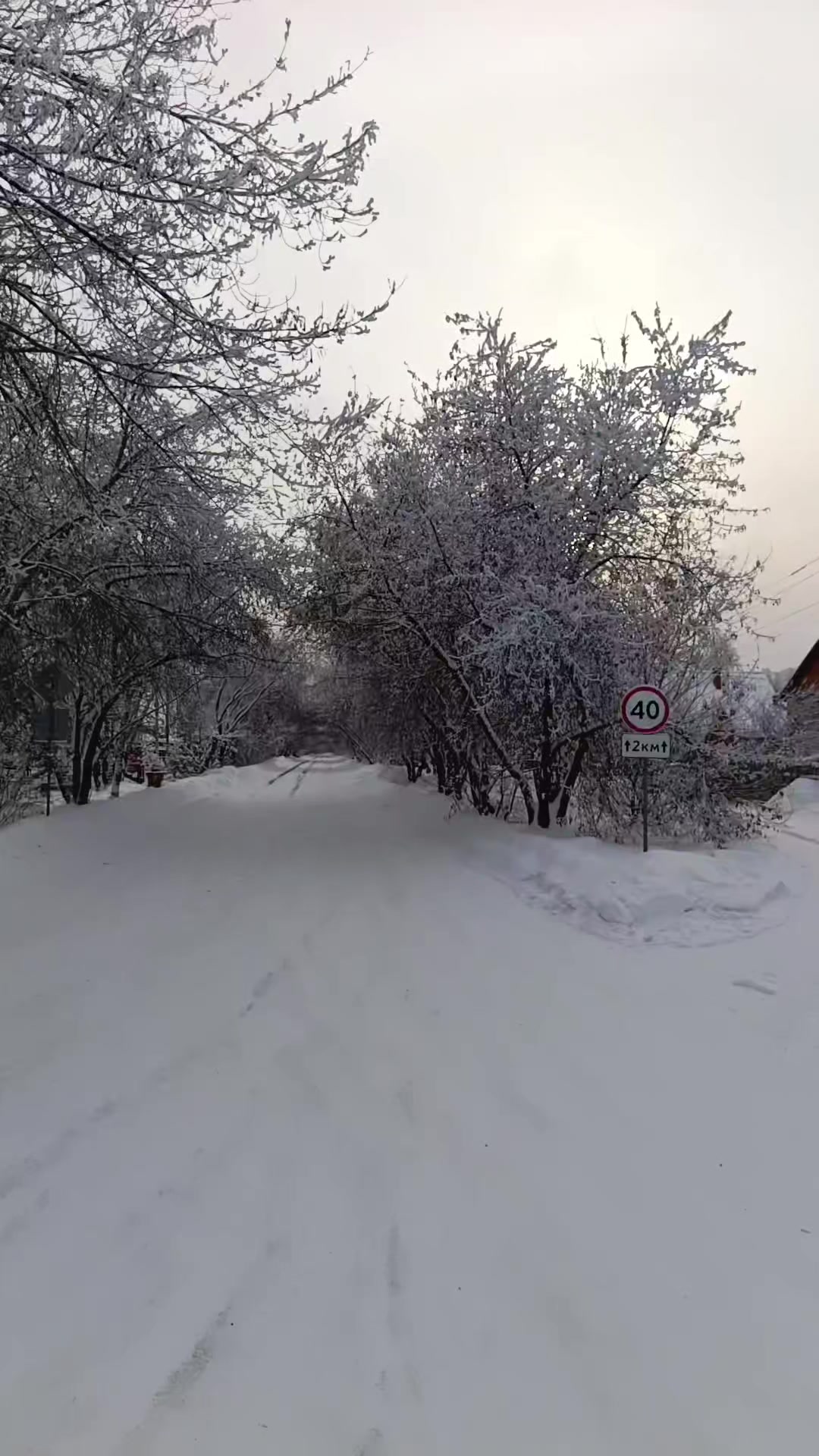 @Колек Медведников