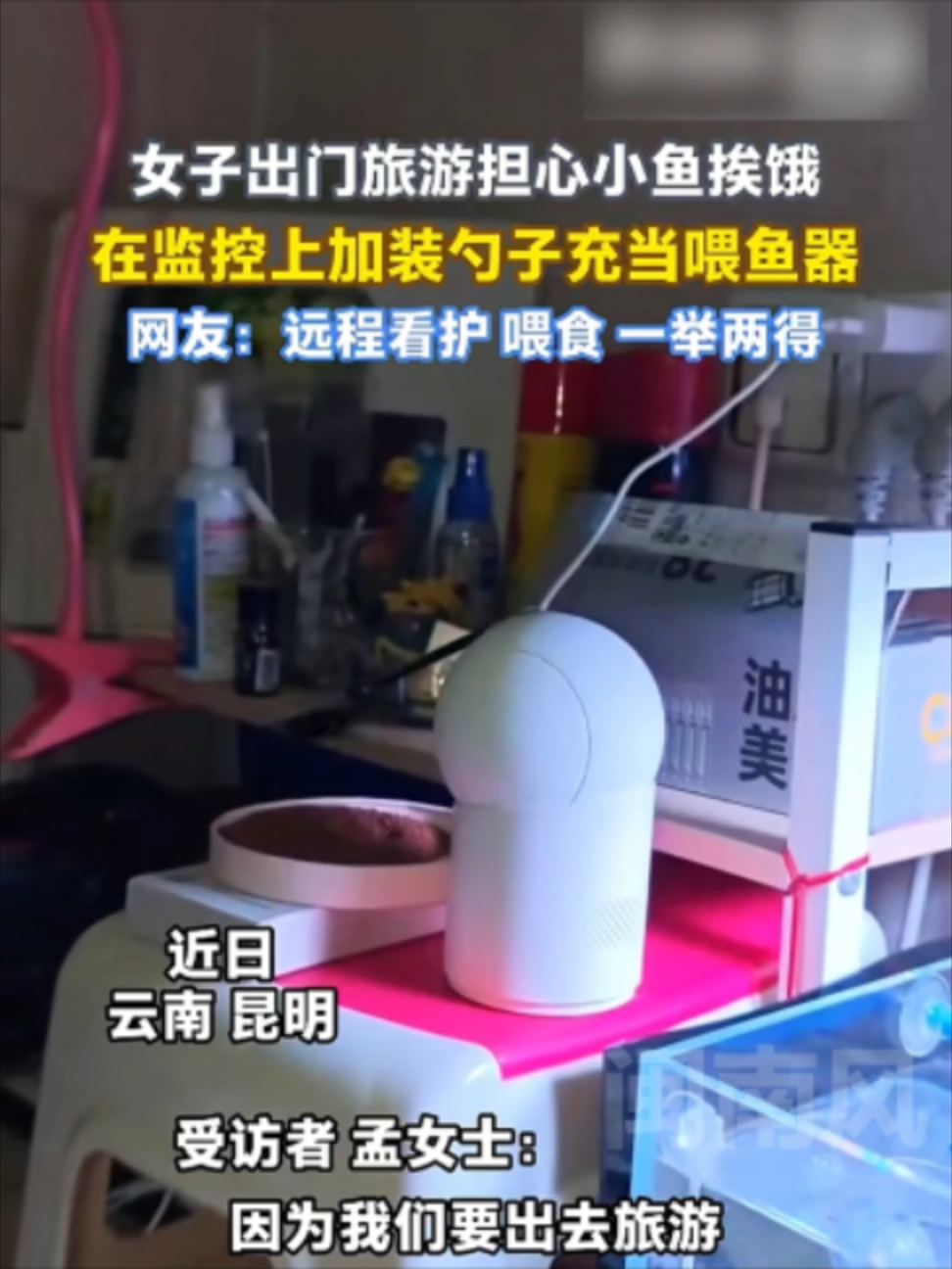@闽南风~