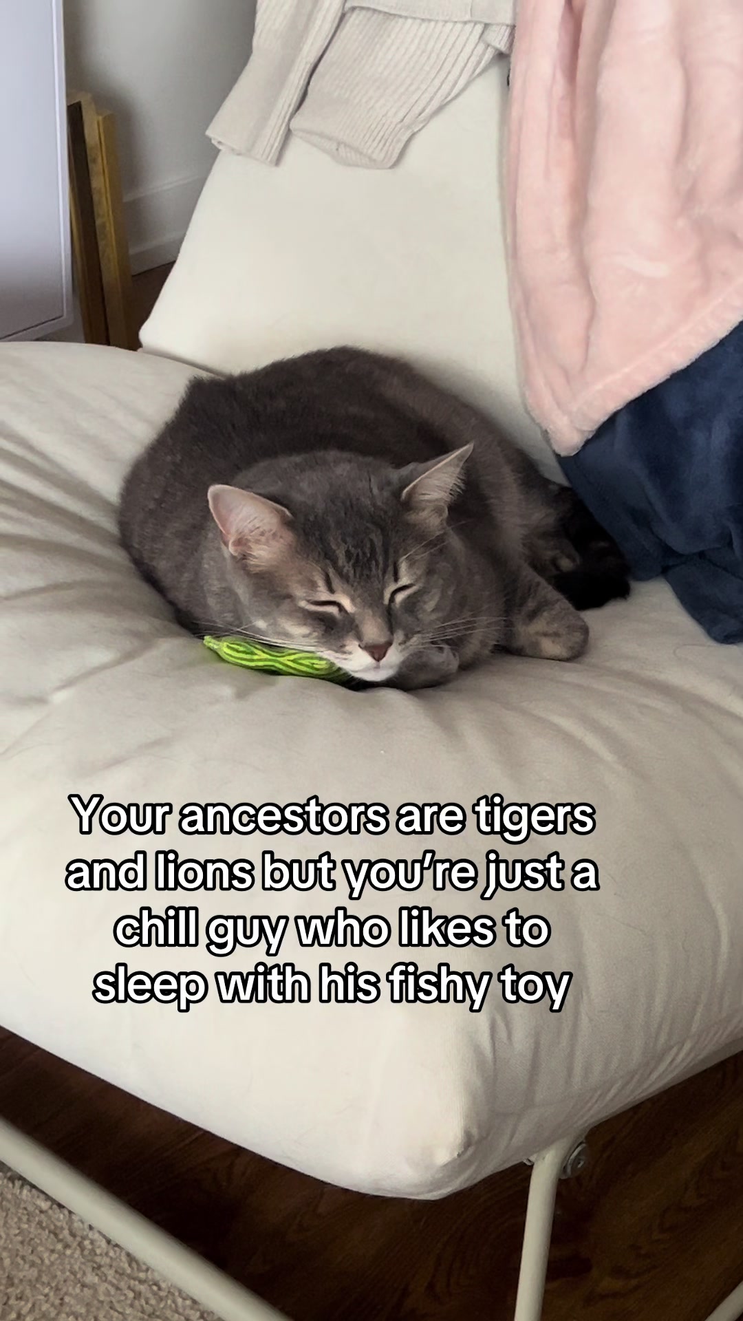 @Ollie 🐱