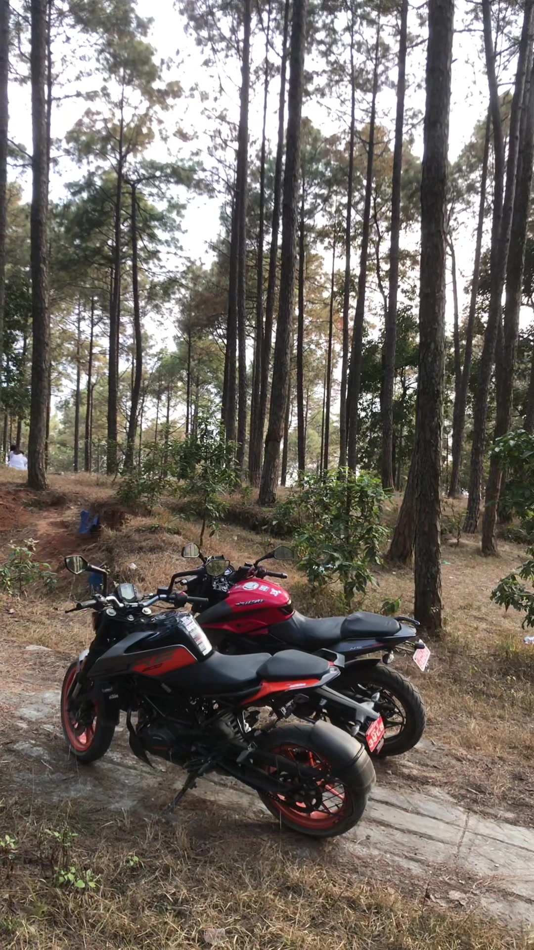 @Sujal humagain