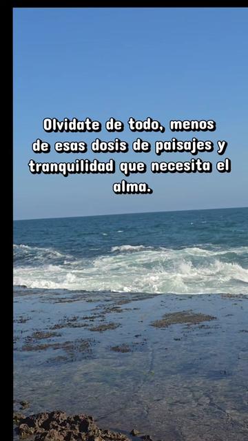 @🪸latinablogger