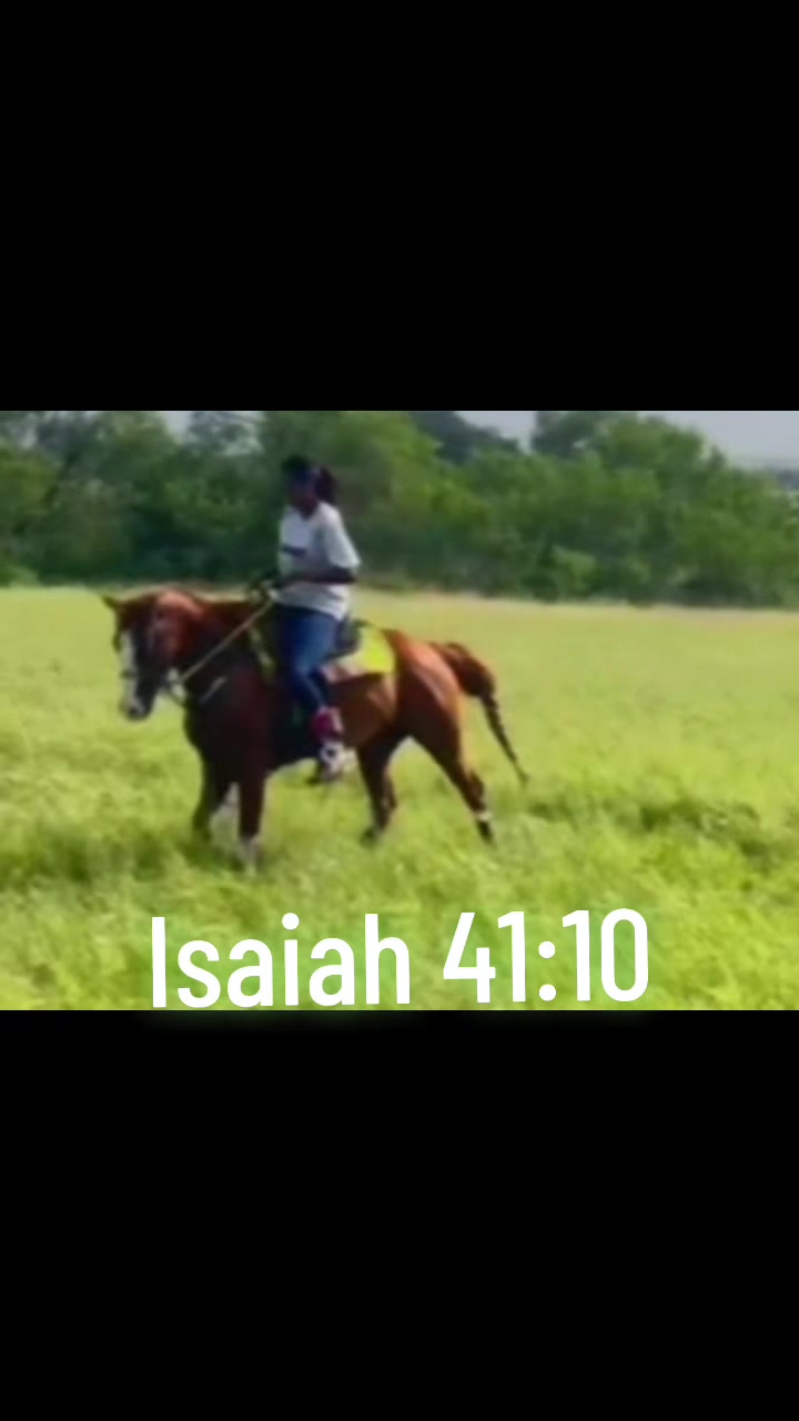 @Blessedmom11
