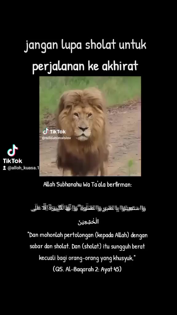 @Subhanallah