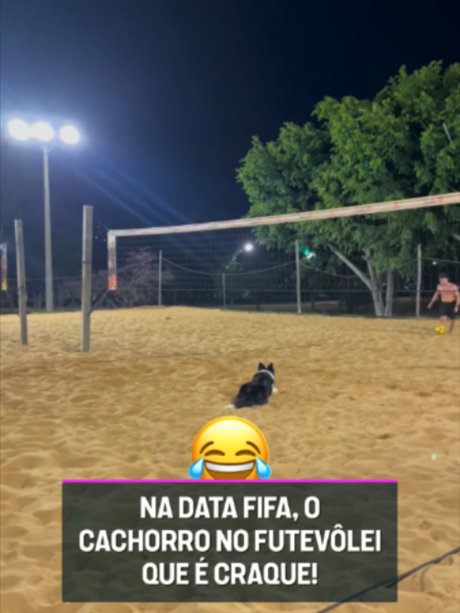 @TNT Sports Brasil