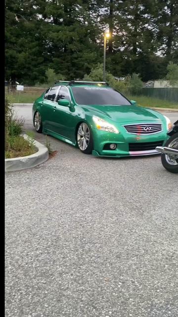 @dynasaur_83122
