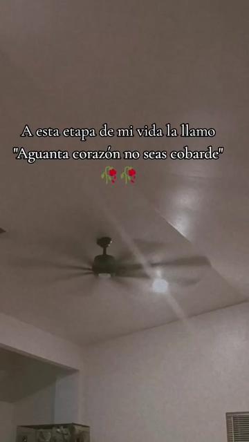 @👑🌿🥀