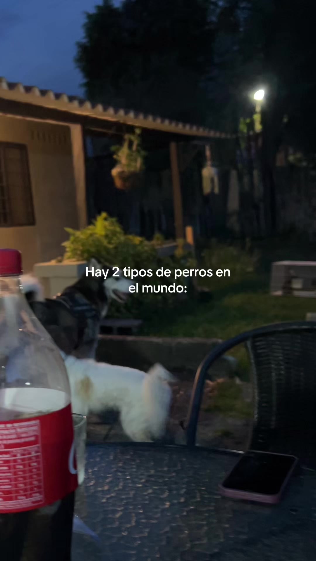 @Ana