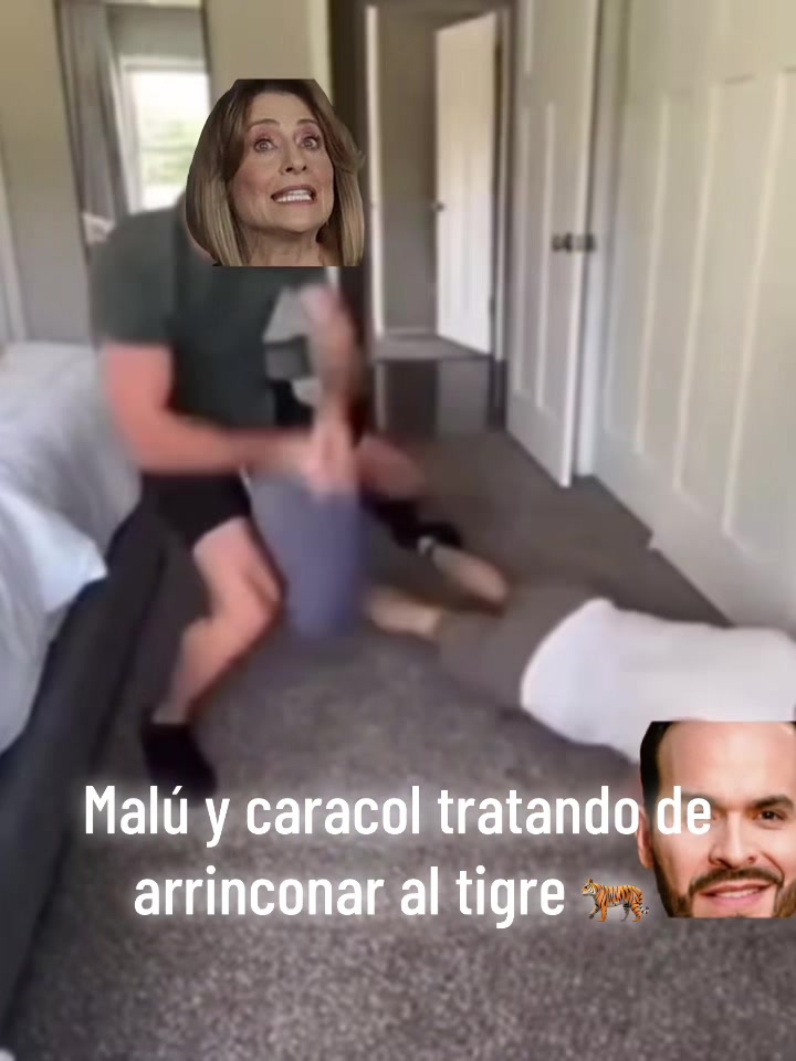 @xtremacoherencia
