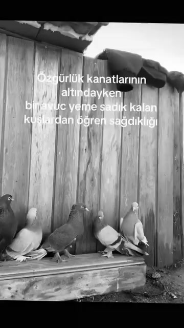 @Atakan ,๐๐๐๐๐๐๐น๐น๐น@&