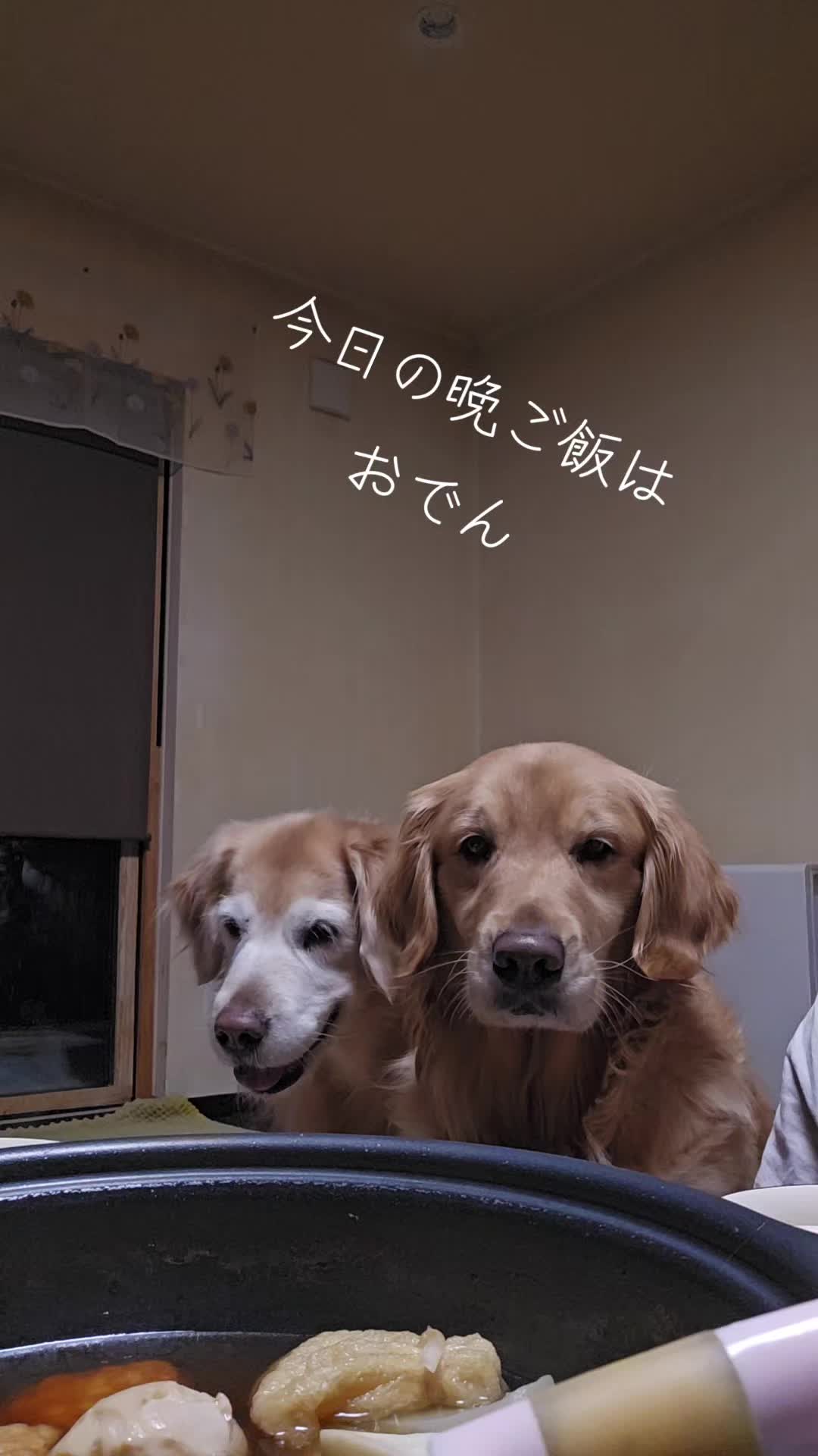 @ナナルナ