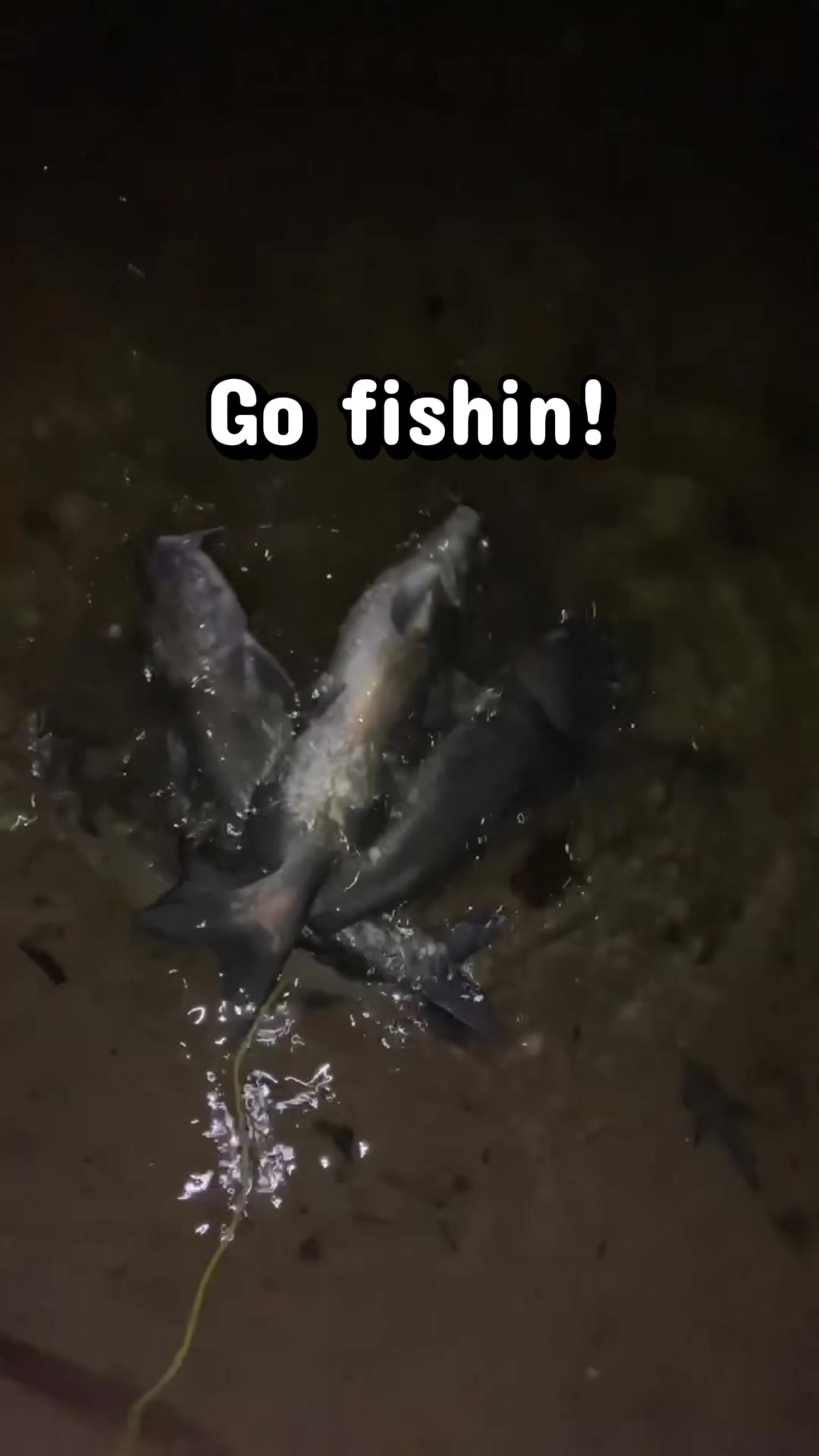 @baltimorebanditfishing
