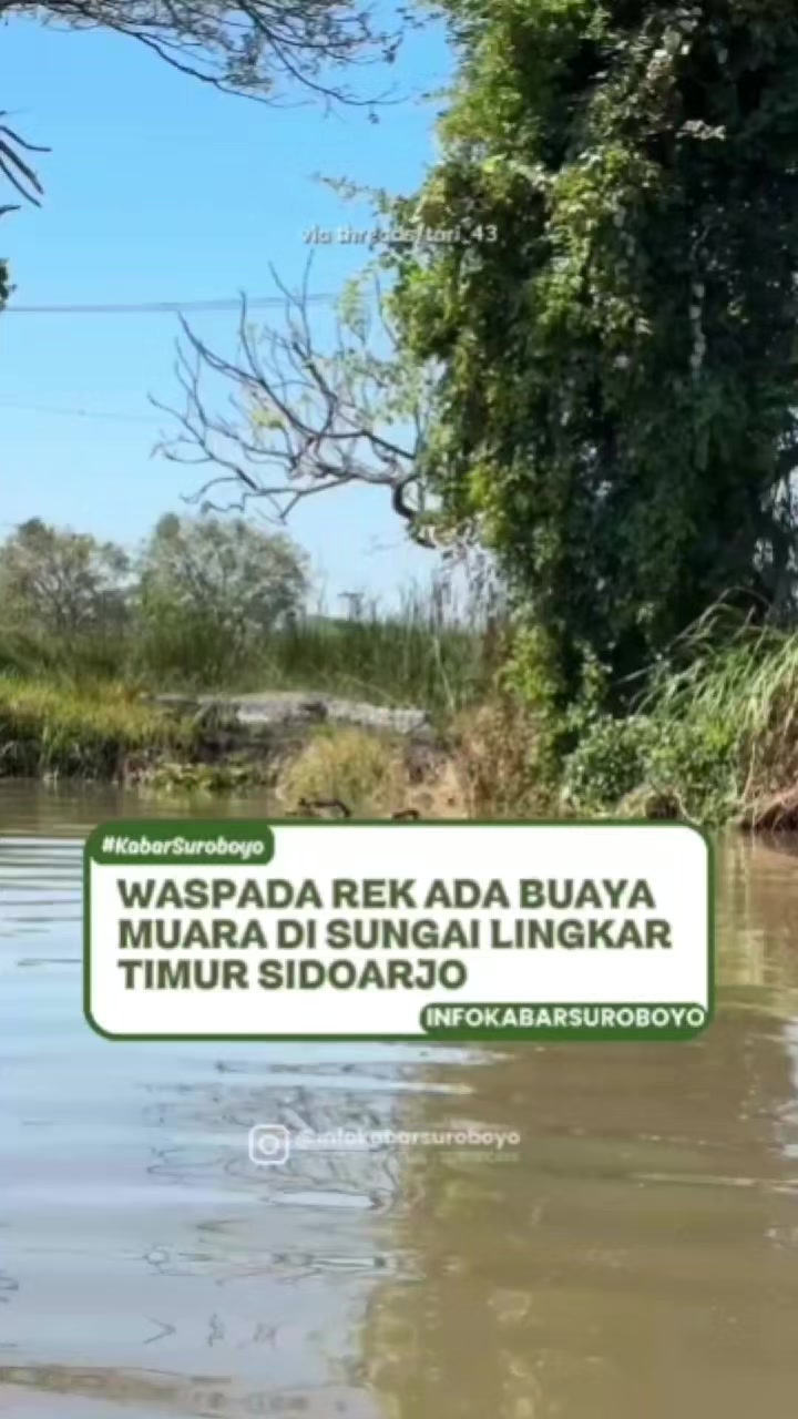@Kabar Suroboyo