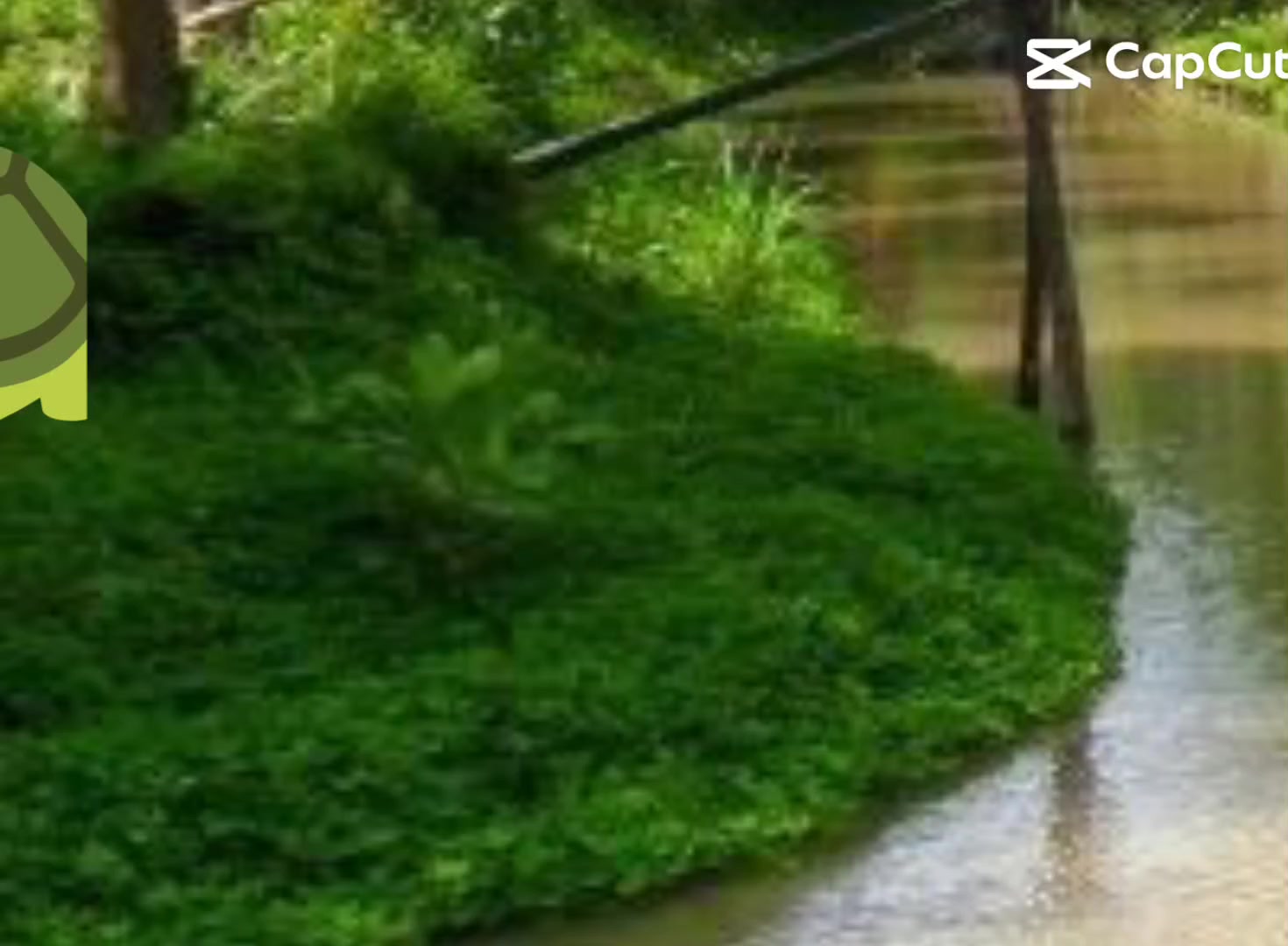 @꧁🇻🇳ngân 🇻🇳꧂