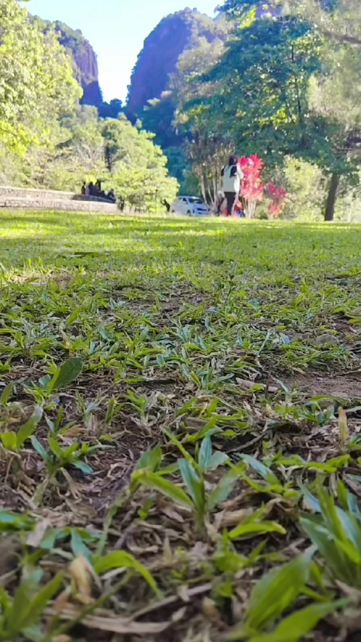 @Nahariah