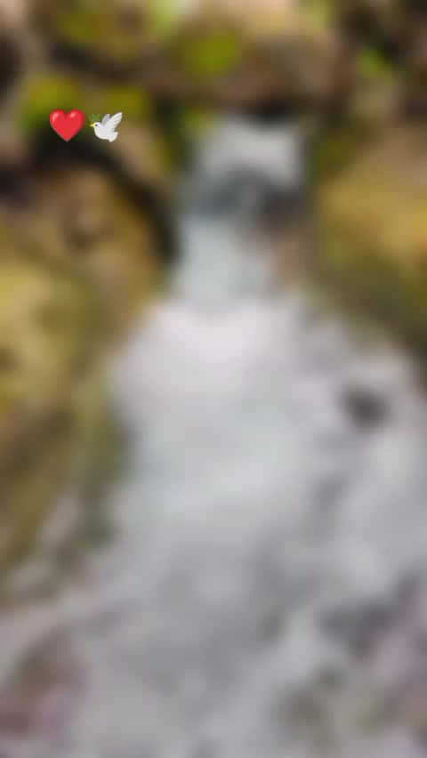 @rojin4747