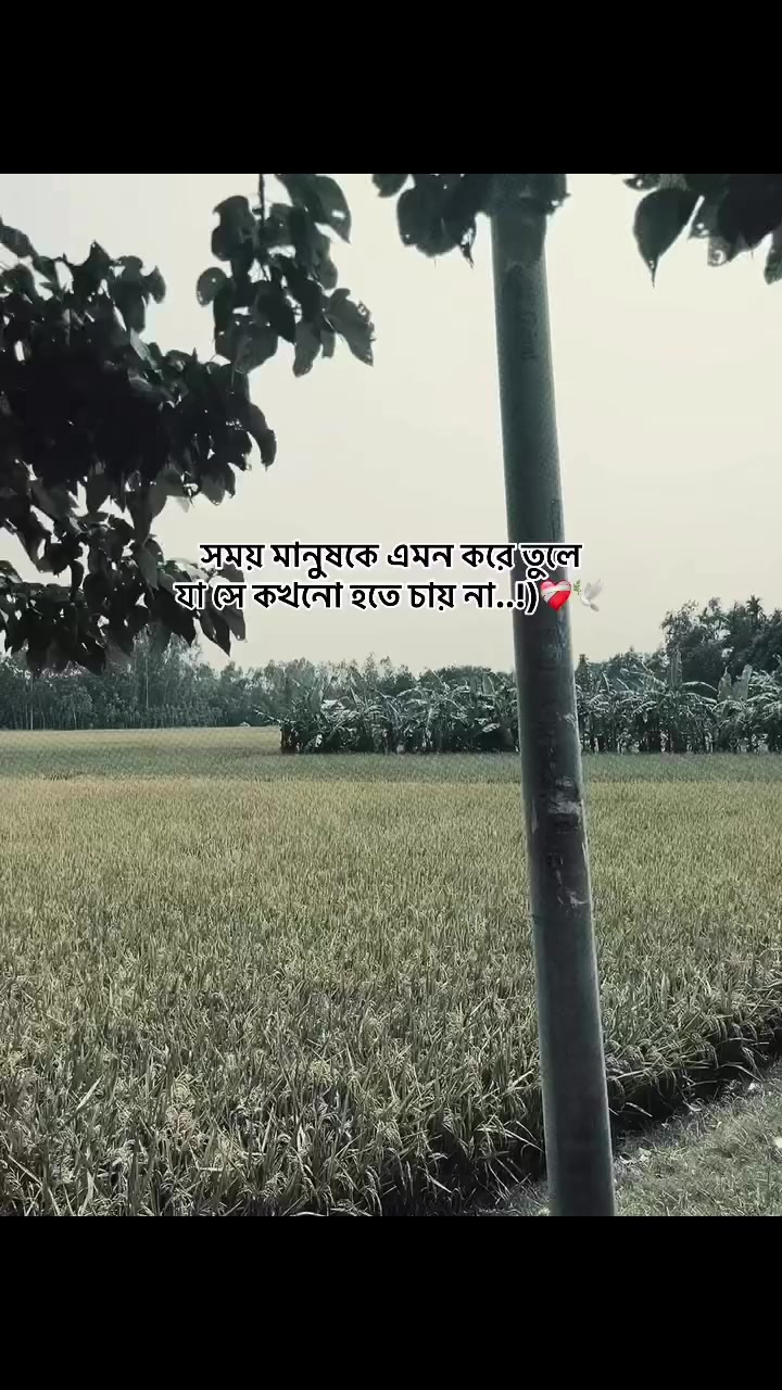 @ꫝϻ.. ℳꫝƦՄҒ🫀