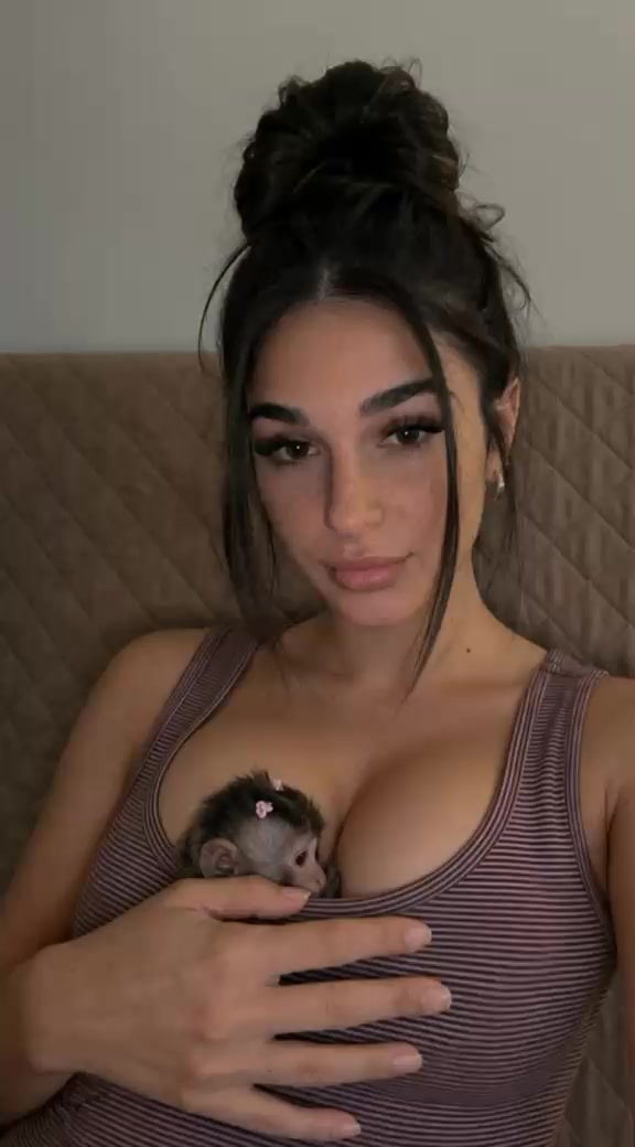 @valeryreed