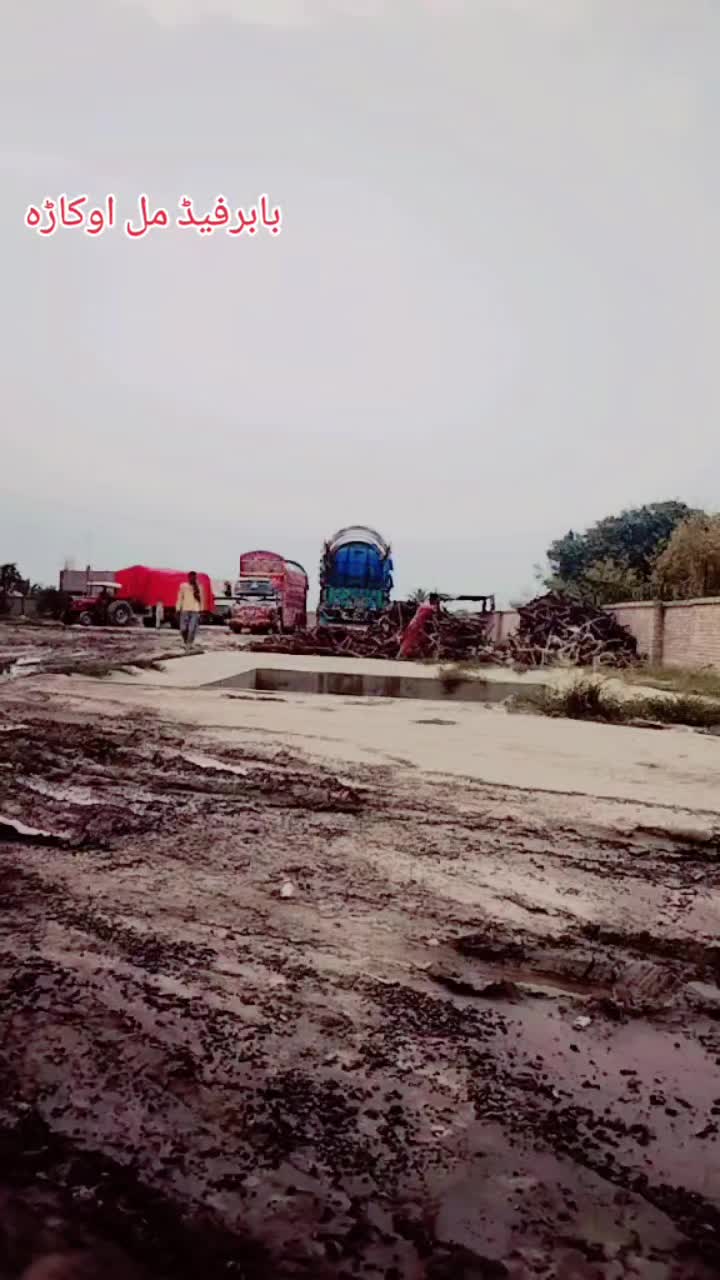 @◥꧁مہر محسن رضا ڈال73꧂◤