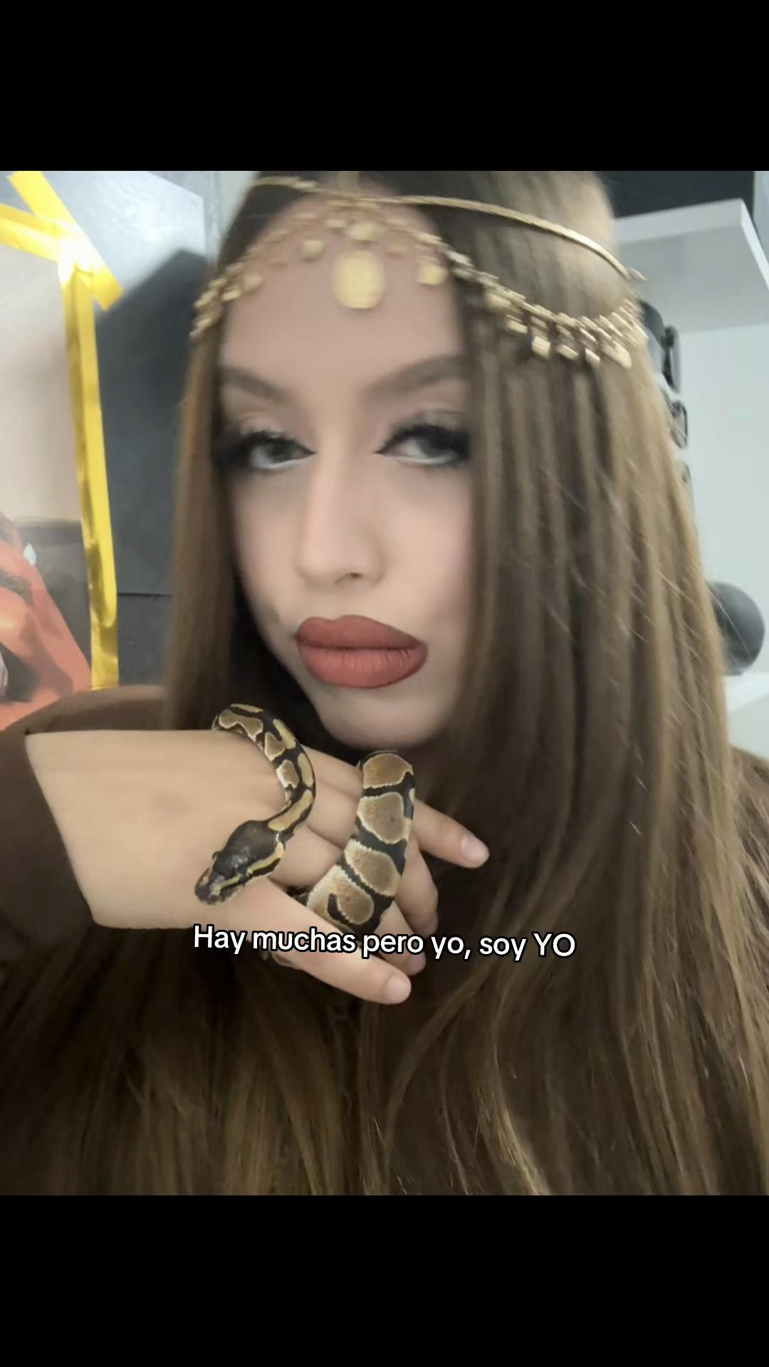 @🐆