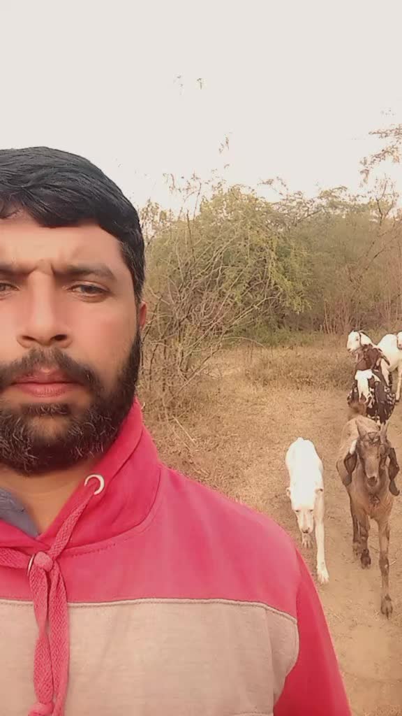@Raja Usman Baisa