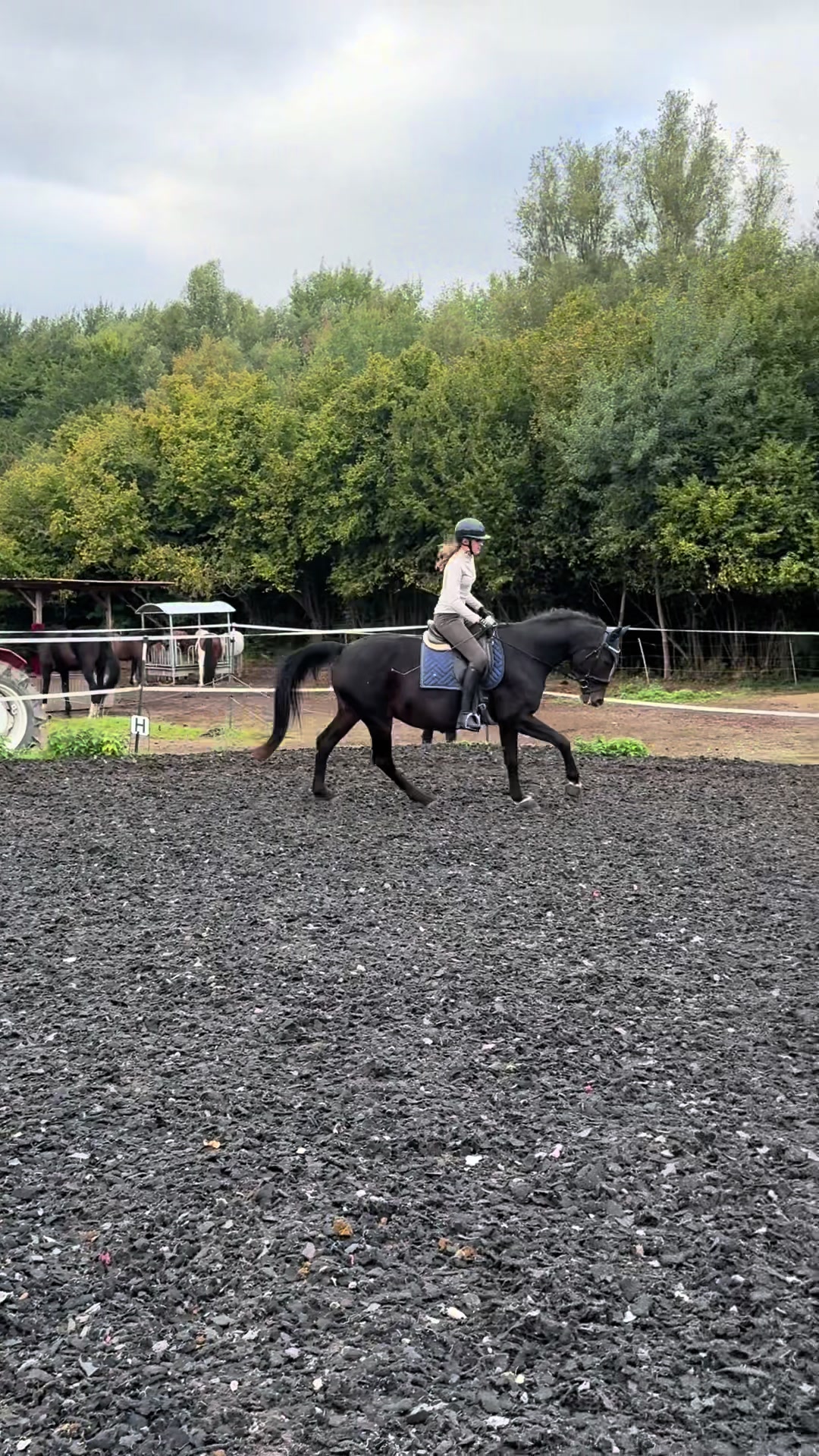 @herzenspferd_lucie❤️🥹