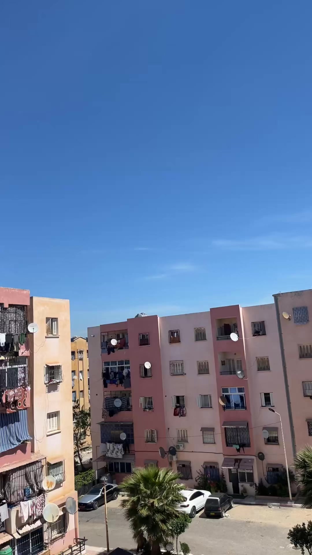 @Djilali❤️🔥
