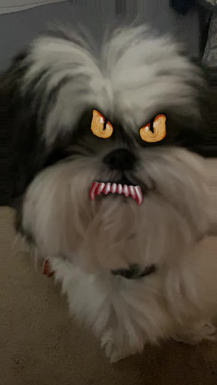 @DerpyDog