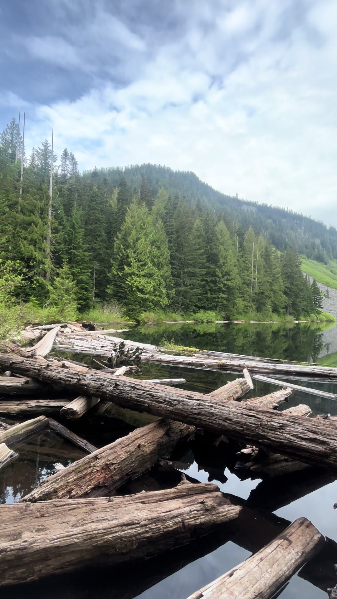 @LifeinthePNW