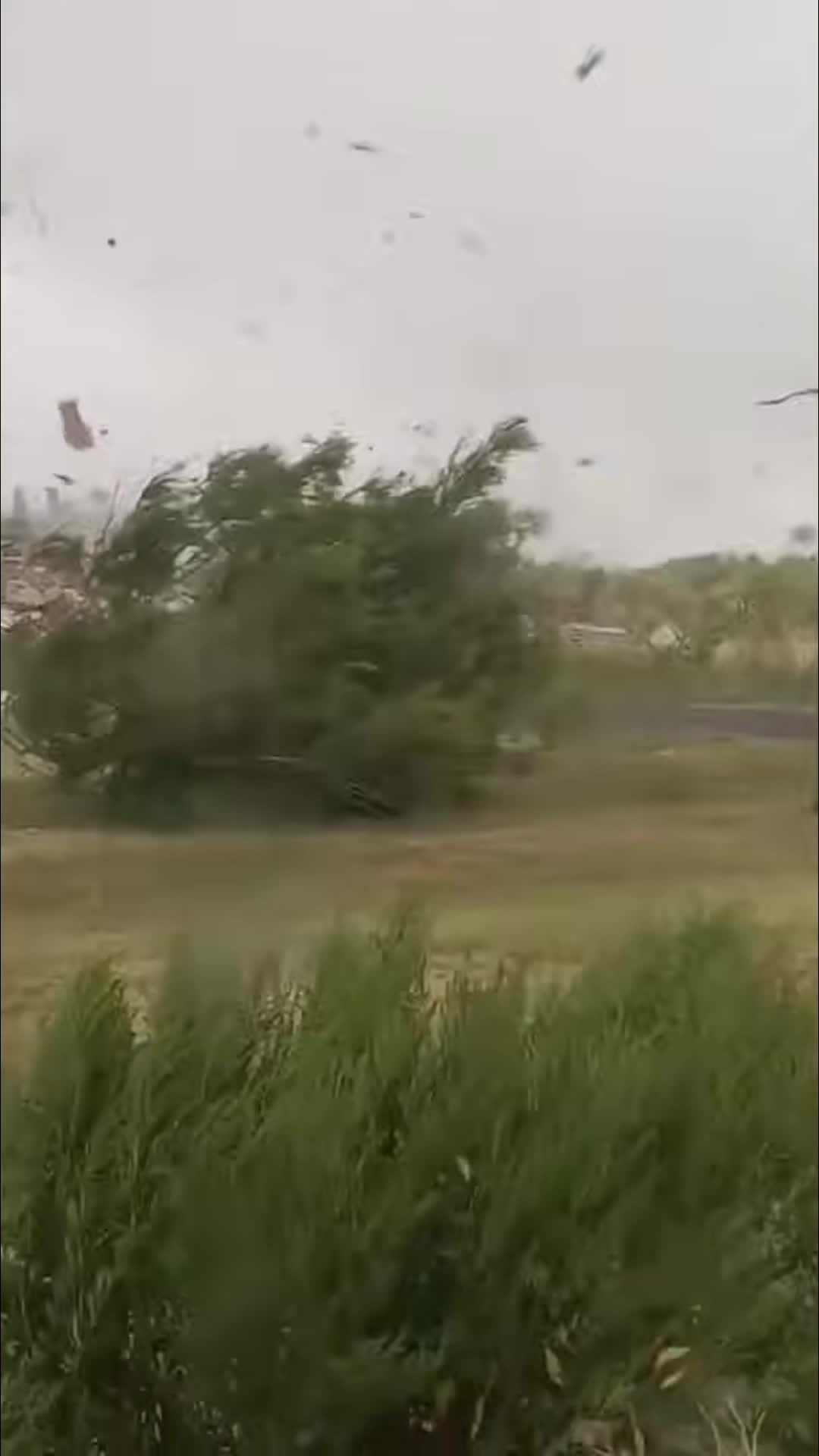@🌪️ tornado season 🌪️