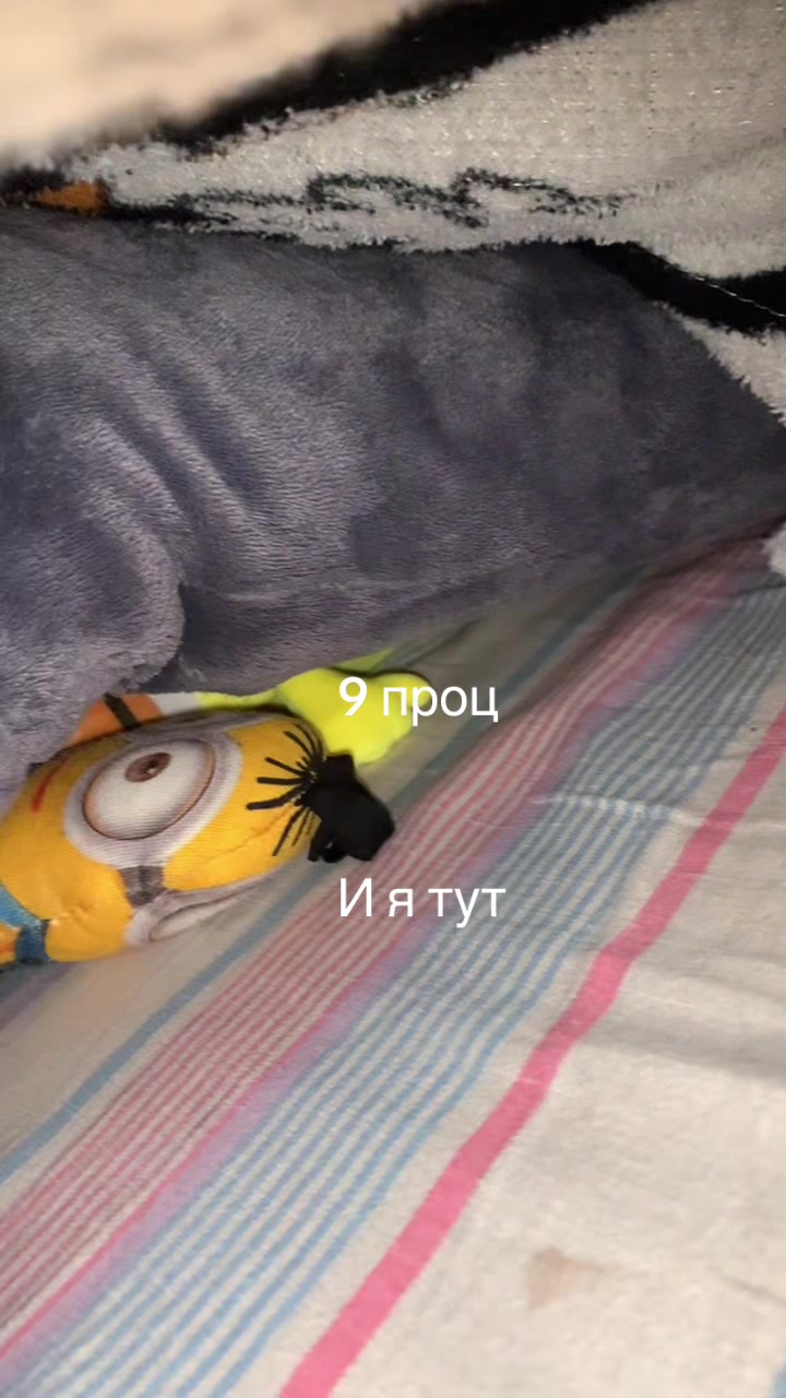 @Микки
