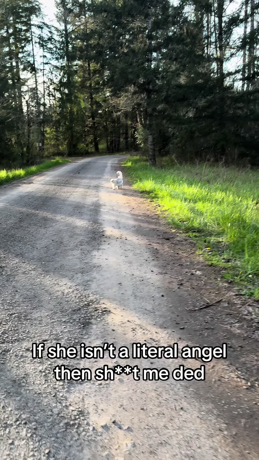 @itsbubblesinthewoods