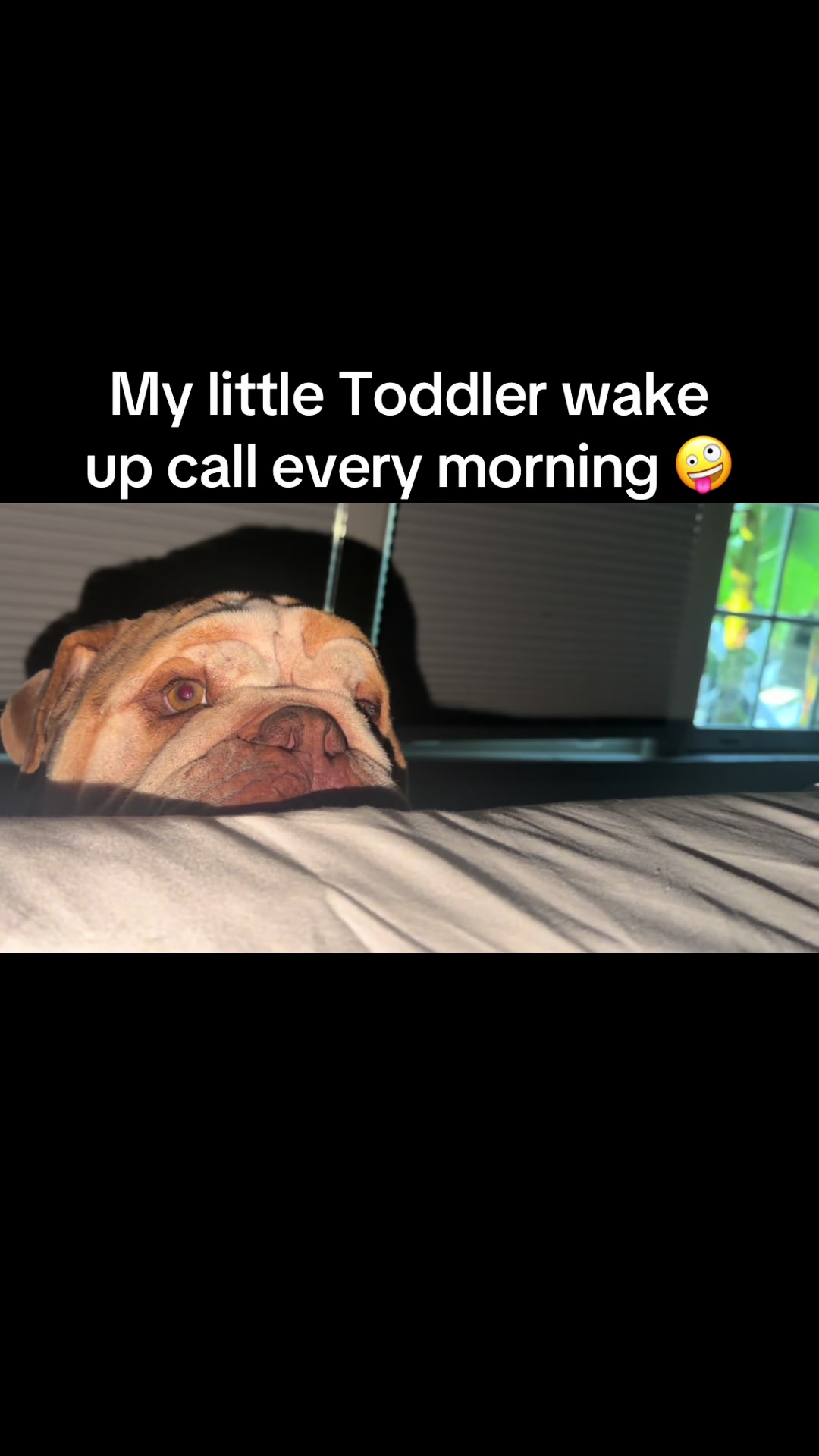 @MelDowner777