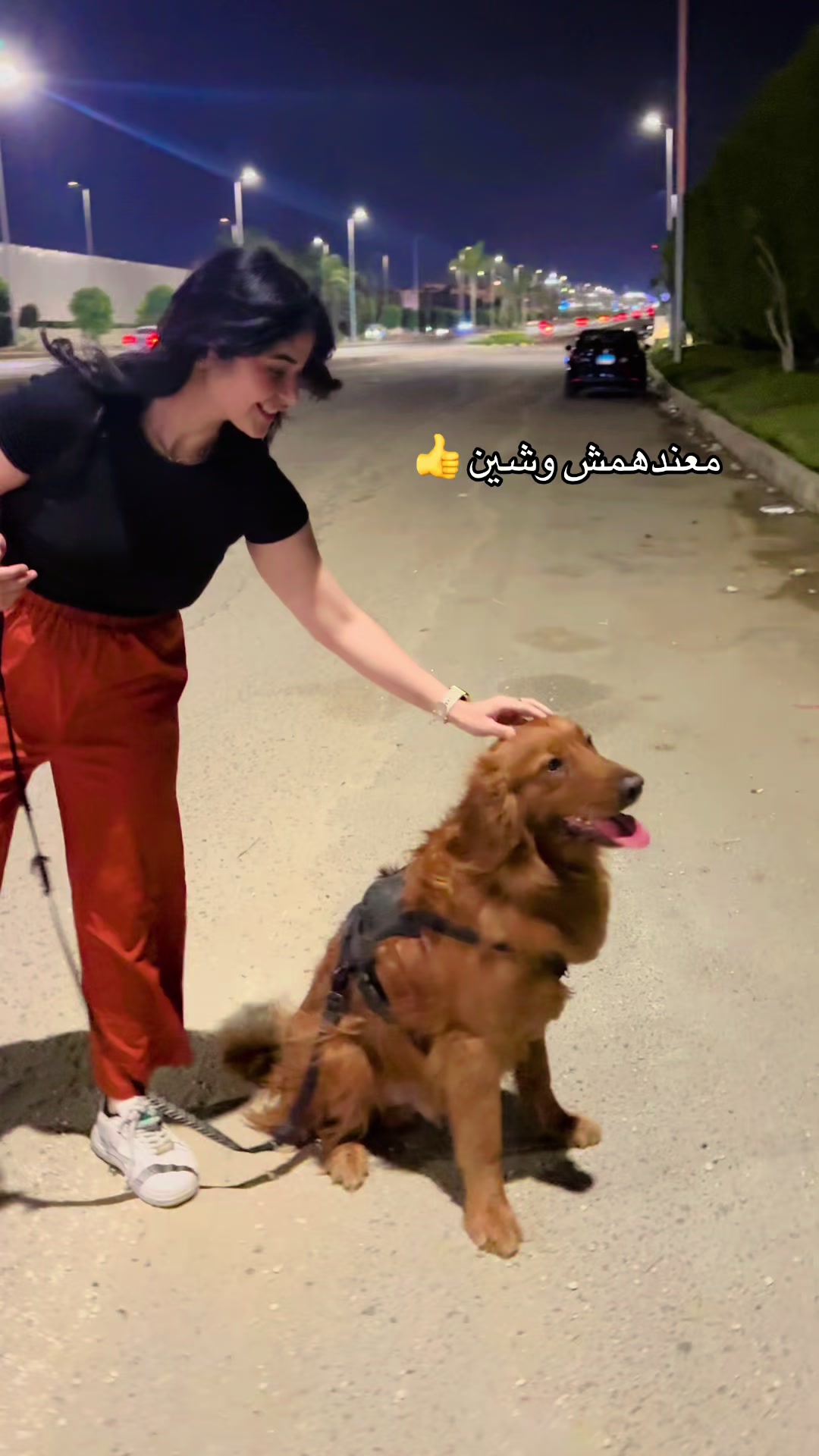 @Sara Mohamed