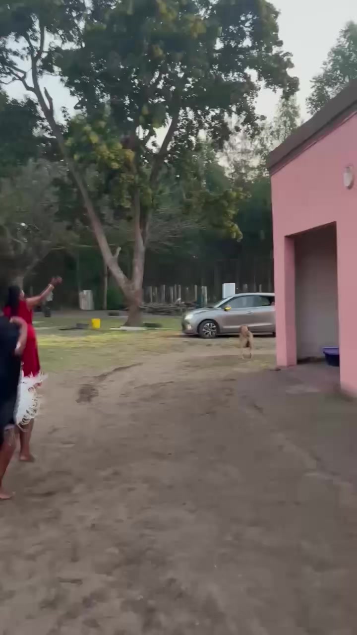@winnile.tini.cebekhulu