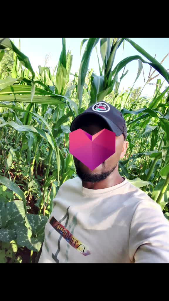 @user2157742246343