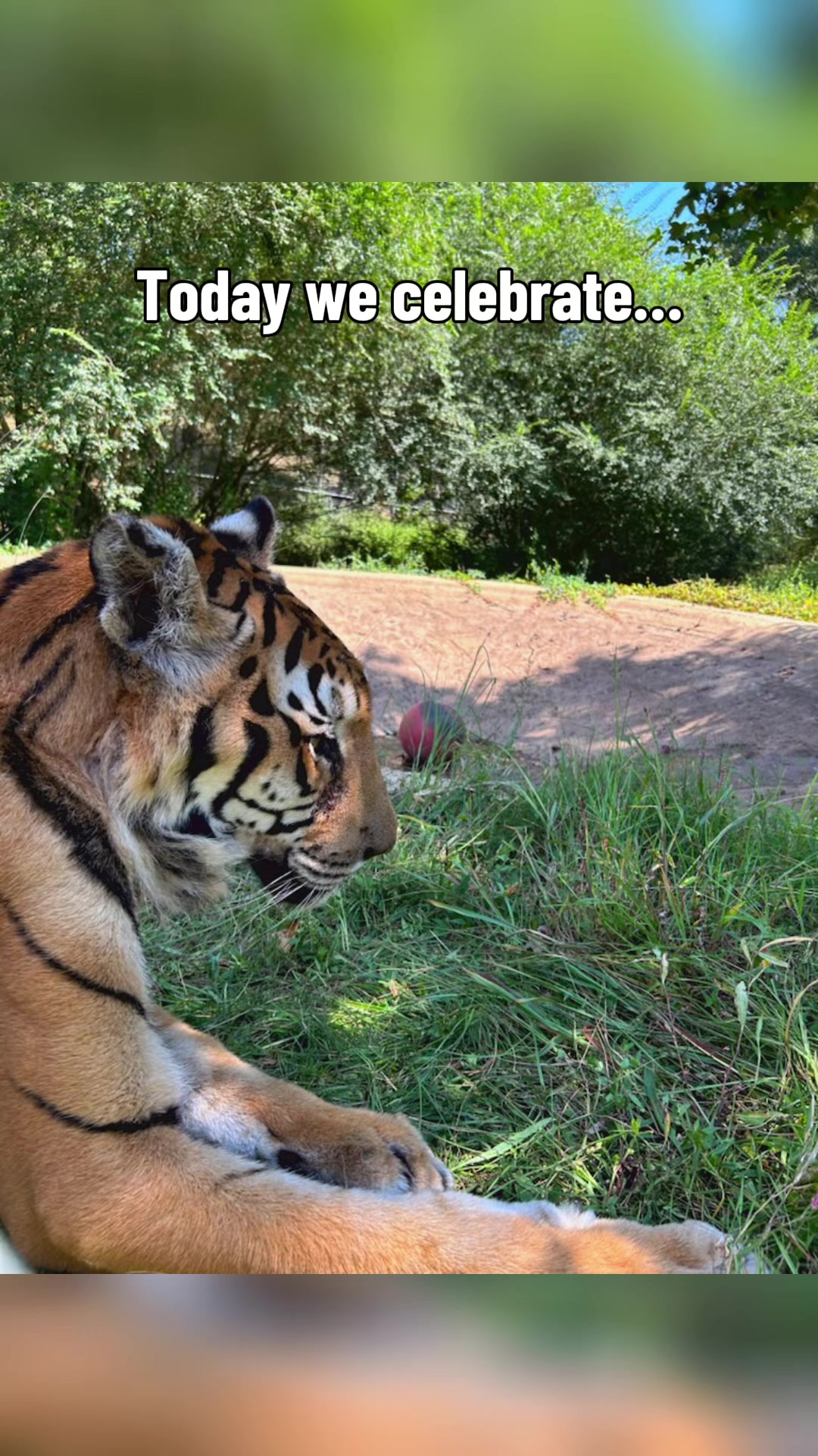 @Cedarhill Animal Sanctuary