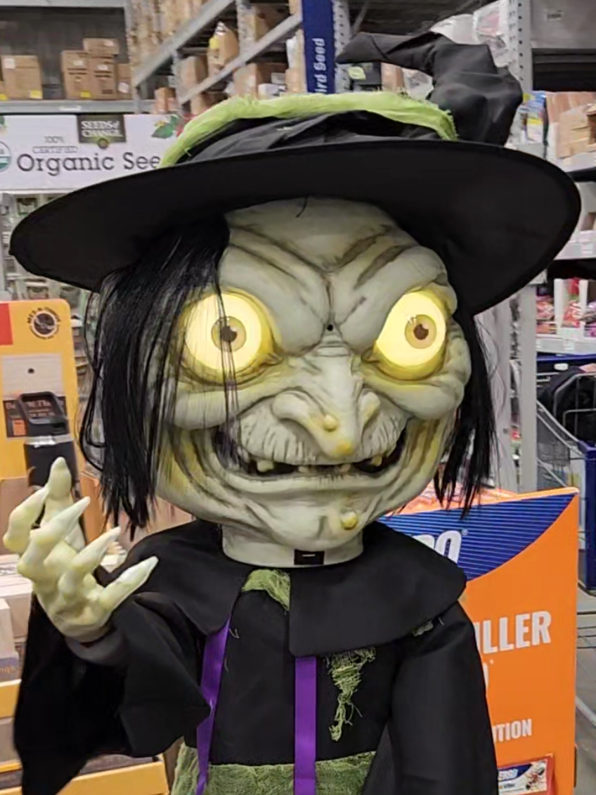 @Toyquest101