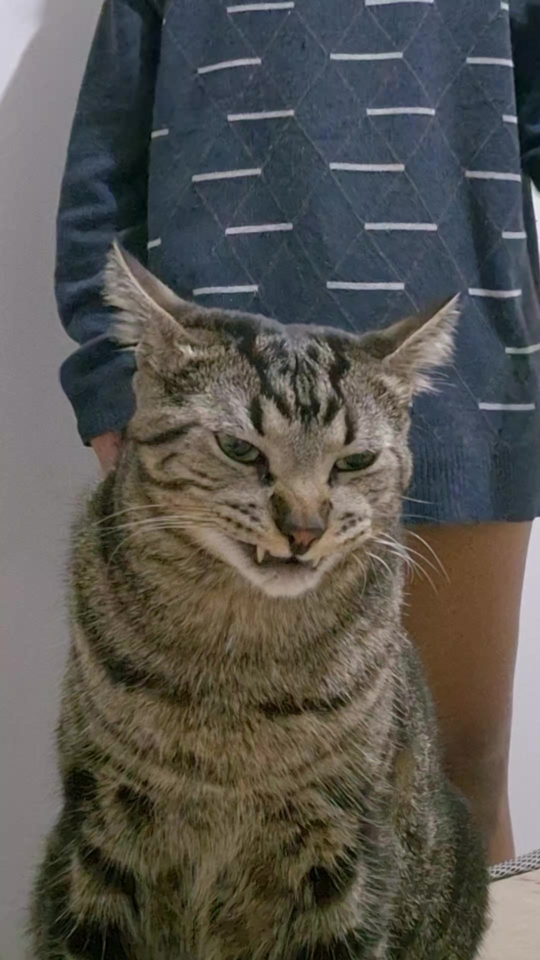 @Mushu