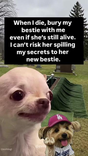 @bambisdodgersworld